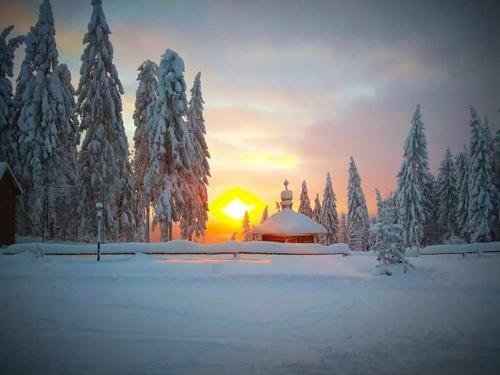 Lodge Baza Vidpochynku Ilz