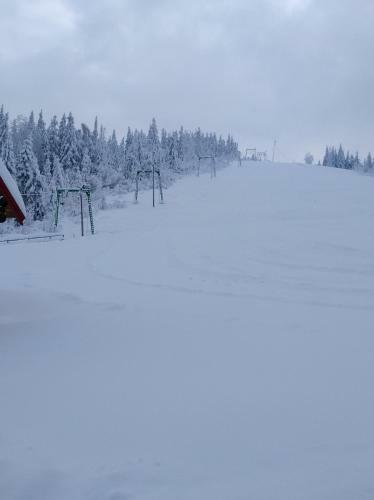 Lodge Baza Vidpochynku Ilz