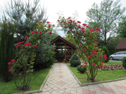 Hostal U Neli