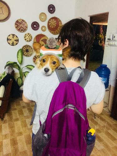 Eco-chi Homestay