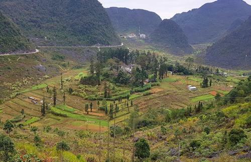 Hostal Huyen Tram Guesthouse