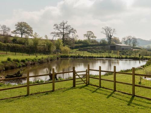 East Dunster Deer Farm Linny