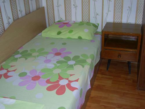 Hostal Villa Jana