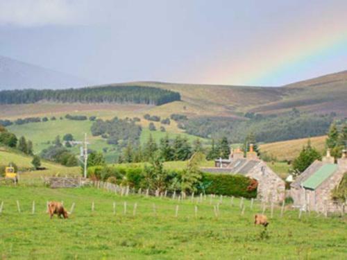 Honey Cottage
