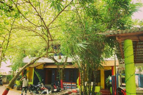 Bed & Breakfast The Lungi Vibe