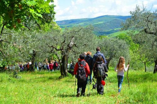 Agroturismo Agriturismo Le Selvole