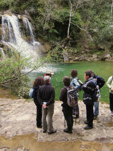 Agroturismo Agriturismo Le Selvole