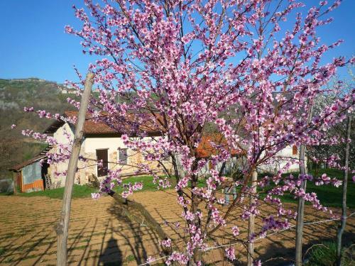 Agroturismo La Botalla Agriturismo