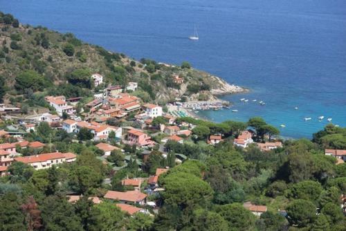 Da Angiolina