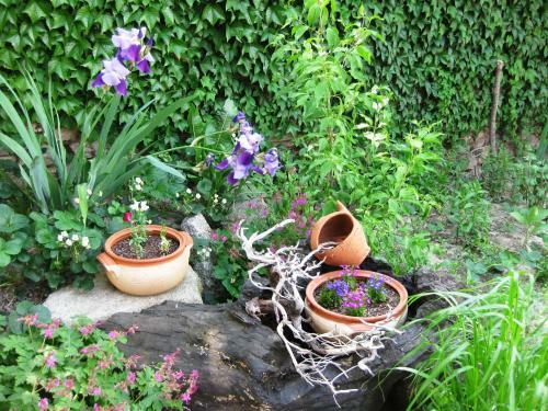 Hostal Chardaka Guest House