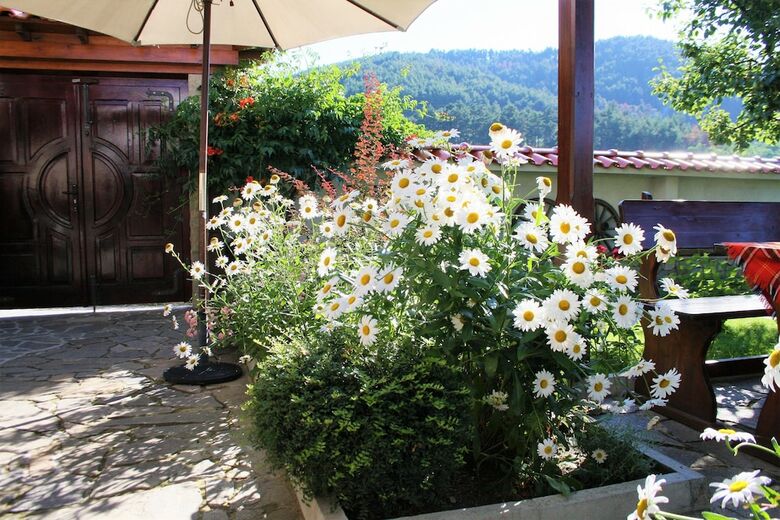 Hostal Iliikova House
