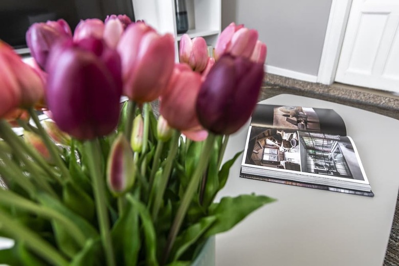 Charming Apartment On The Grand Canal