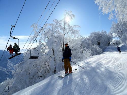 Apprising Hotels Granjam Tsugaike