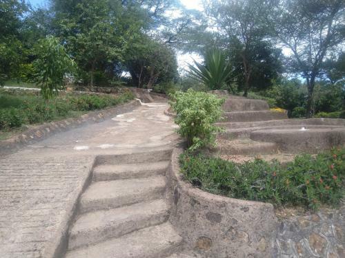 Hotel Sego Safari Lodge