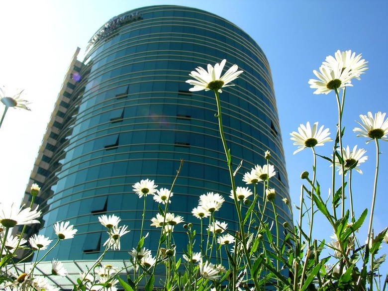 Hotel Suites Camino Real
