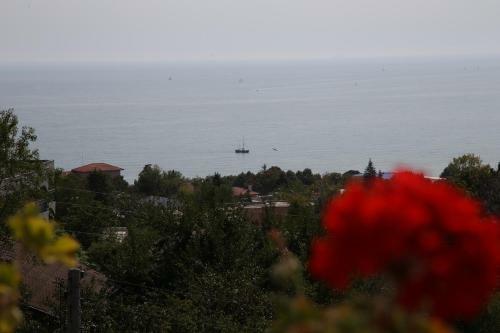 Hostal Popov Guest House