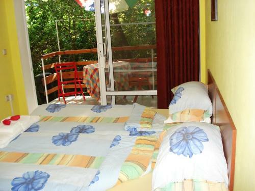 Hostal Villa Exotica