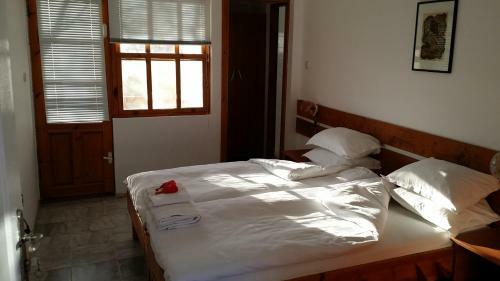 Hostal Villa Exotica