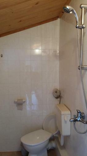 Hostal Villa Exotica