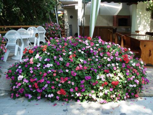 Hostal Villa Exotica