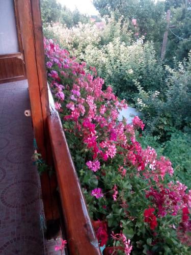 Hostal Villa Exotica