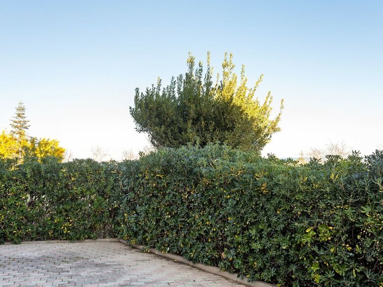 Homely Villa In Termoli With Garden