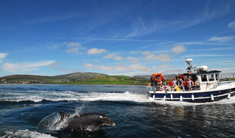 Dingle Courtyard Cottages 2 Bed Sleeps 4