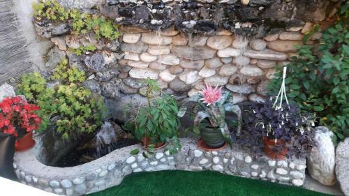 Hostal Guest House Stoletnika