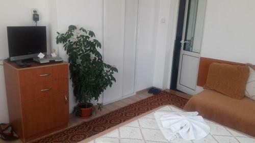 Hostal Guest House Stoletnika