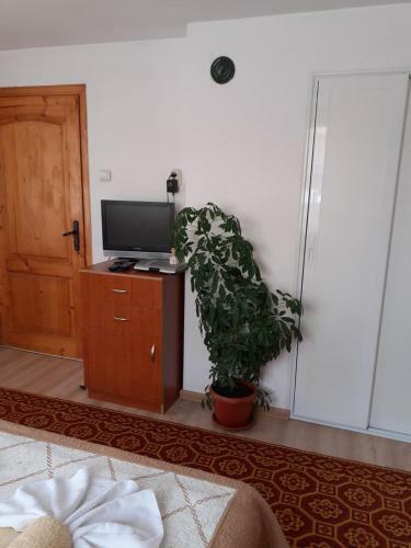 Hostal Guest House Stoletnika