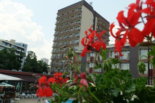 Hotel Orel - All Inclusive
