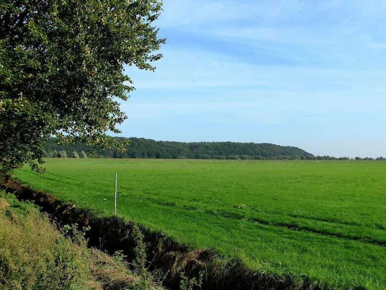 Semi-detached Home With A Dishwasher In The Betuwe