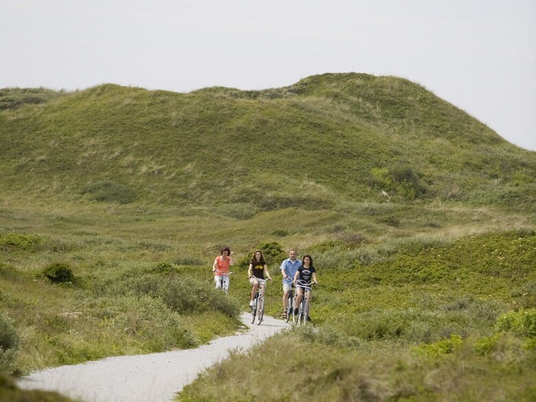 Detached Holiday Home With Dishwasher, Located On Texel