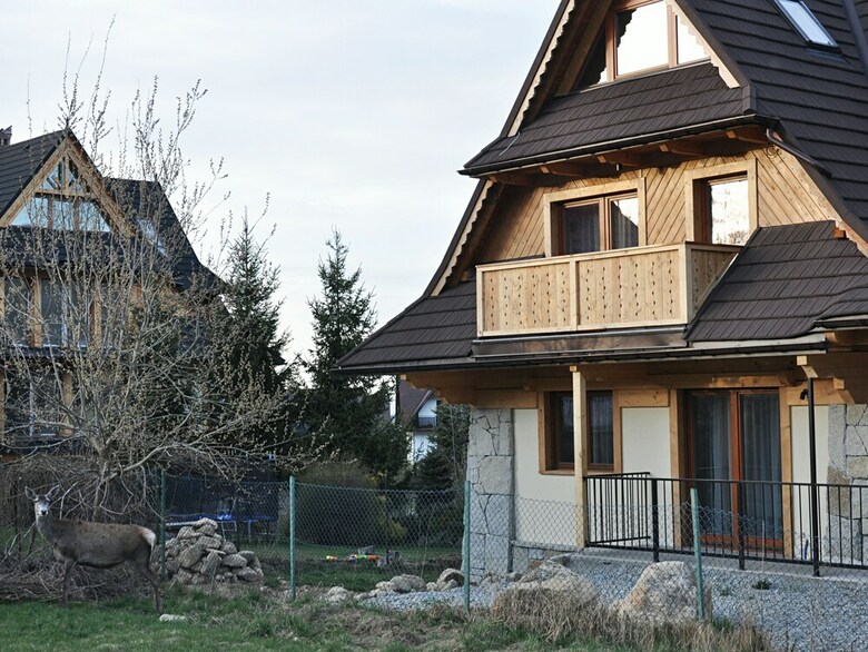 Apartamentos Willa Kozi?c�wka