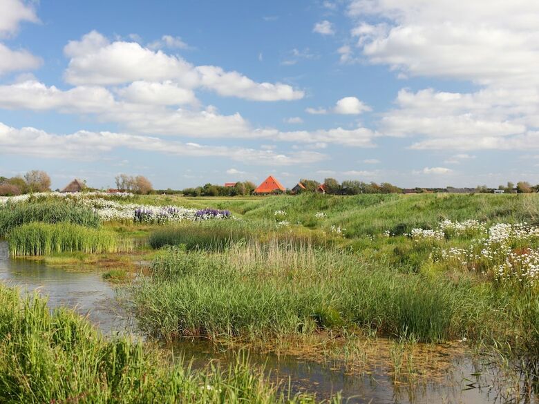 Single Storey Lodge With Dishwasher, 1 Km. From The Beach