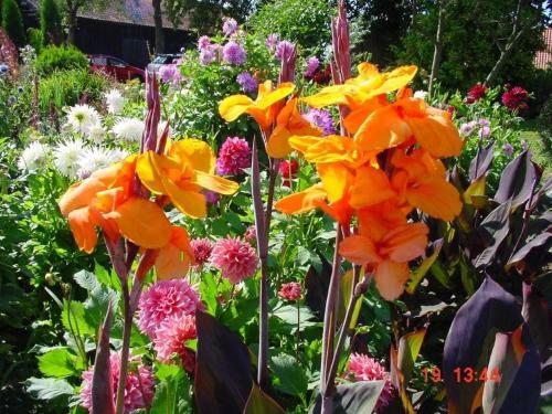 Agroturystyka Orzechowe Wzg�rze