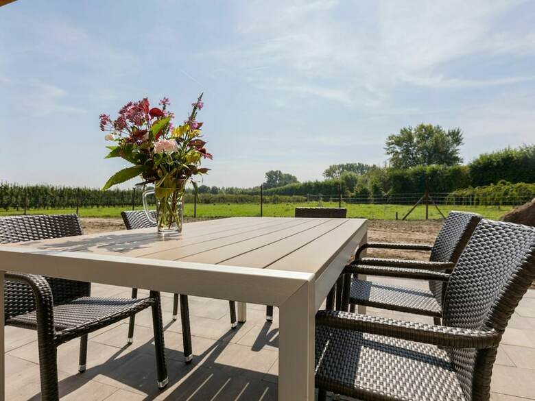 House In Vrouwenpolder With Private Terrace
