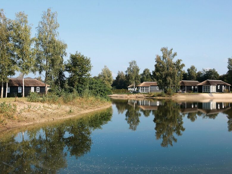 Thatched Lodge With AC And A Dishwasher, In Green Twente