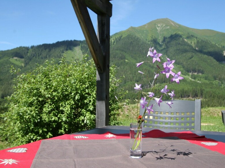 Cozy Chalet In Hohentauern With Parking