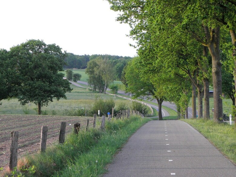 Experience Peace And Tranquility In A Landscape With Vast Forests