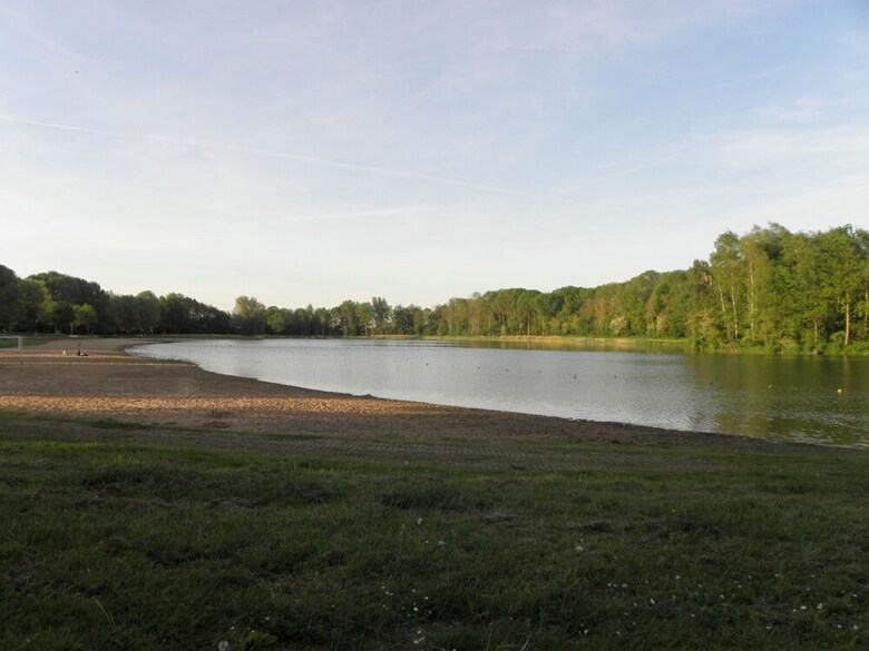 Experience Peace And Tranquility In A Landscape With Vast Forests