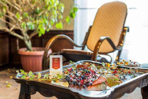 Chateau Montagne Hotel Troyan