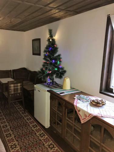 Tacheva Family House