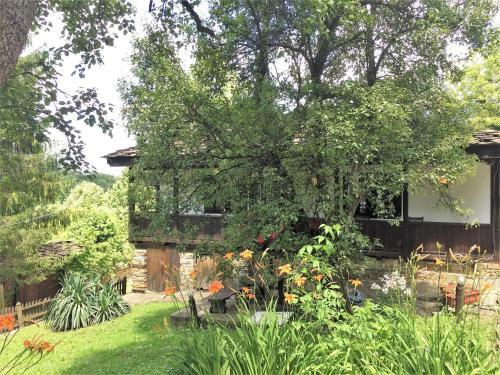 Dzhelepova Guest House