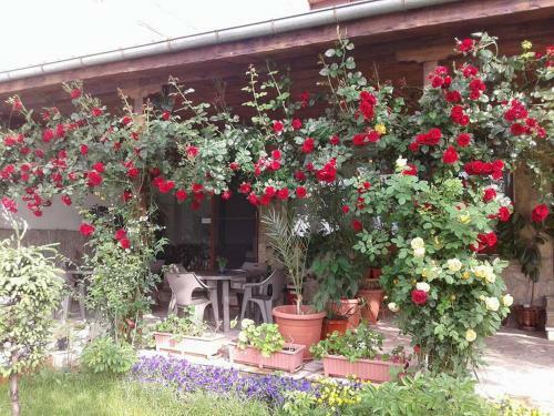 Hostal Todorovi Guest House