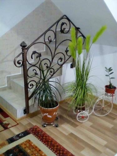 Agroturismo Vila Darian