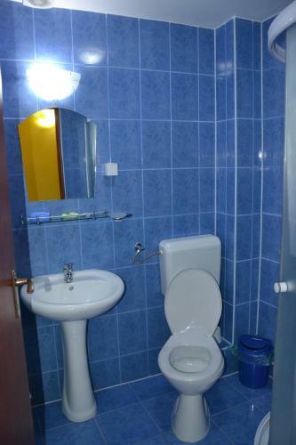 Hostal Pensiunea Lala