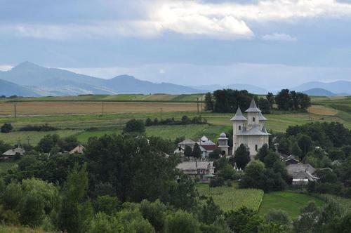 Bed & Breakfast Popamuseum Tarpesti-