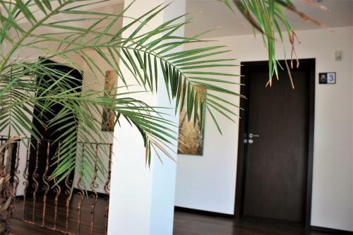 Hostal Silva House