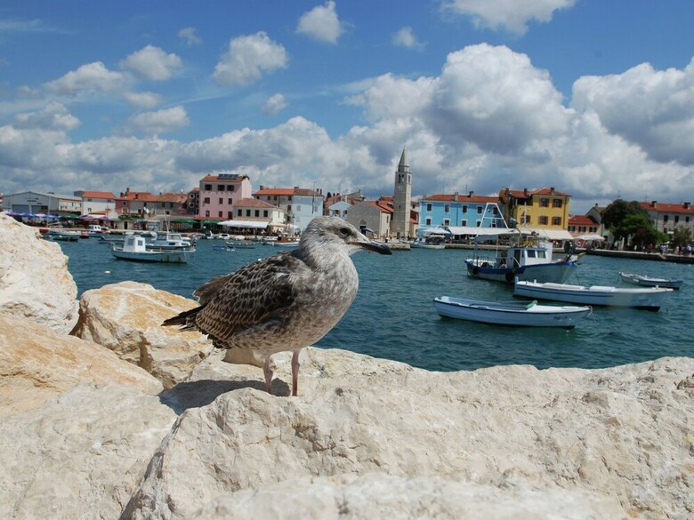 Quaint Apartment In Pula With Garden